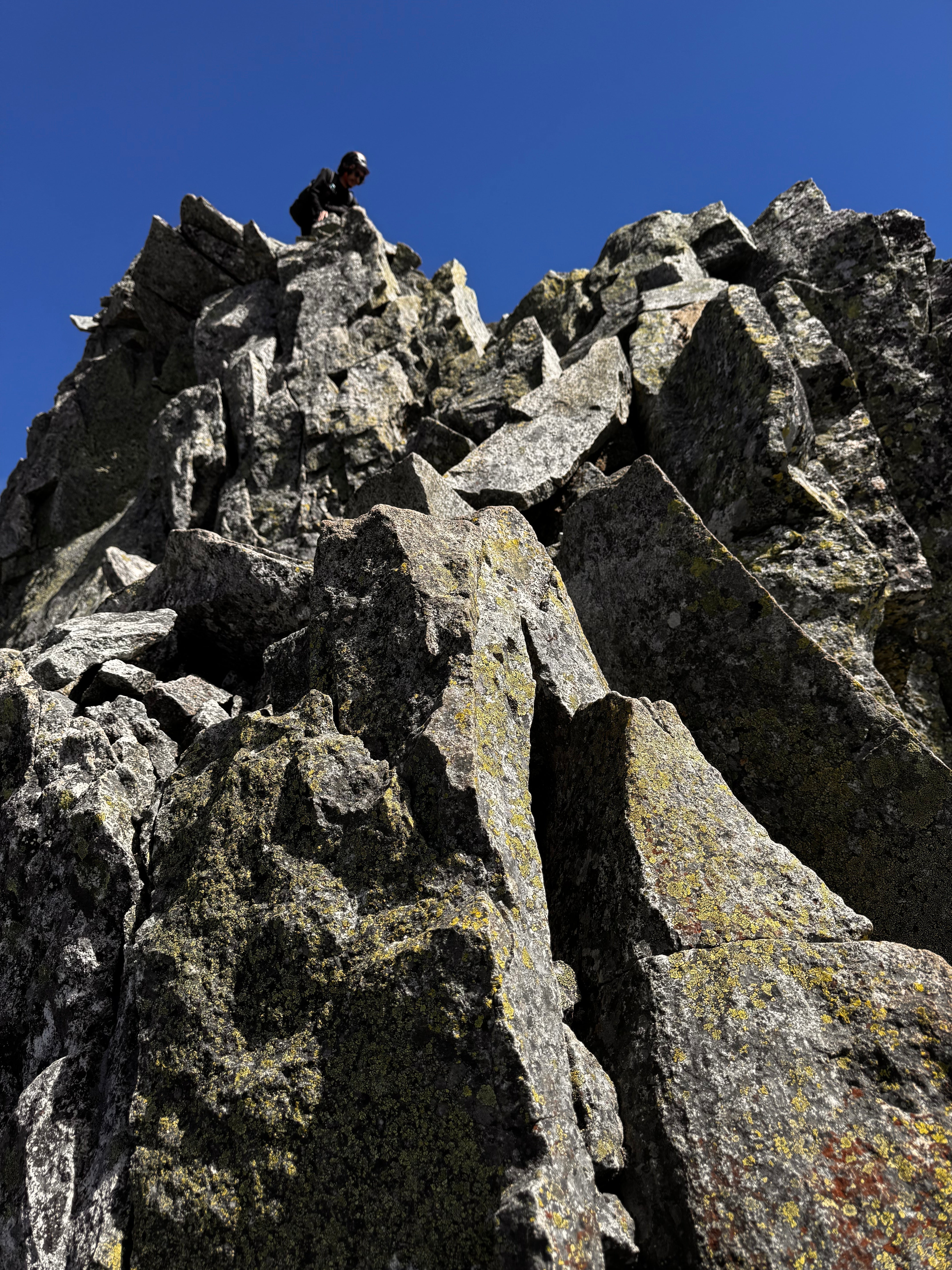 moonlightgear ROOT SHIRTS 山と道　ムーンライトギア Root Shirt – MoonlightGearEquipment