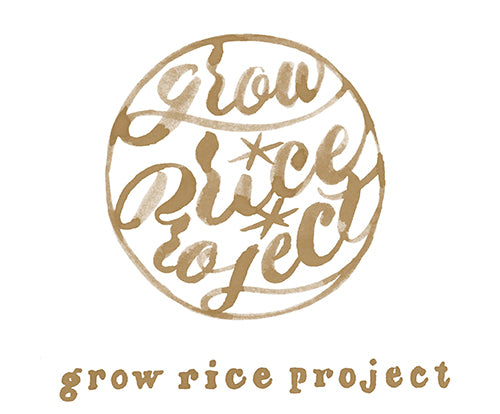 grow rice project