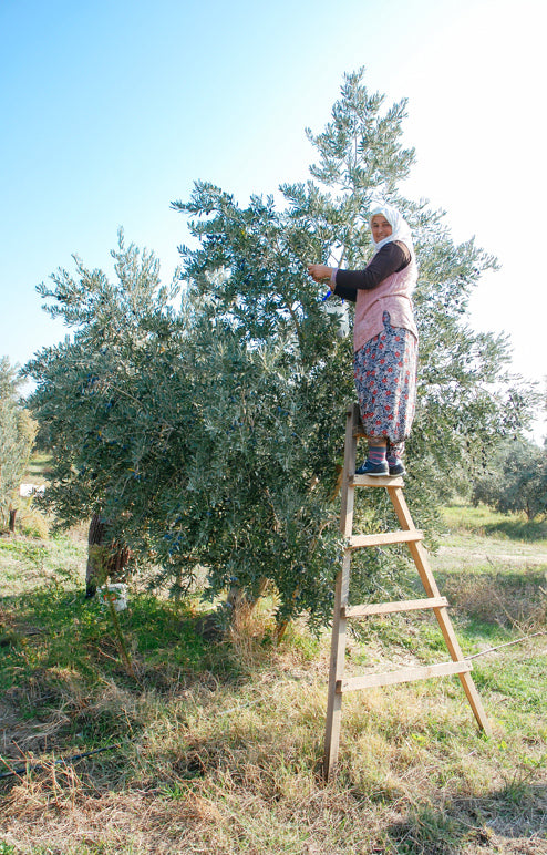 olive village / スパウトパウチオリーブオイル