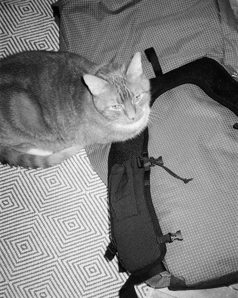 PA'LANTE v2 w joey straps / パランテ  V2 w ジョーイ ストラップ