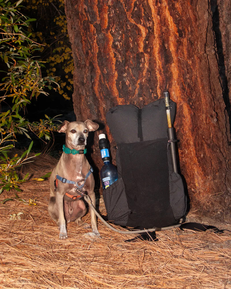 PA'LANTE v2 w joey straps / パランテ  V2 w ジョーイ ストラップ