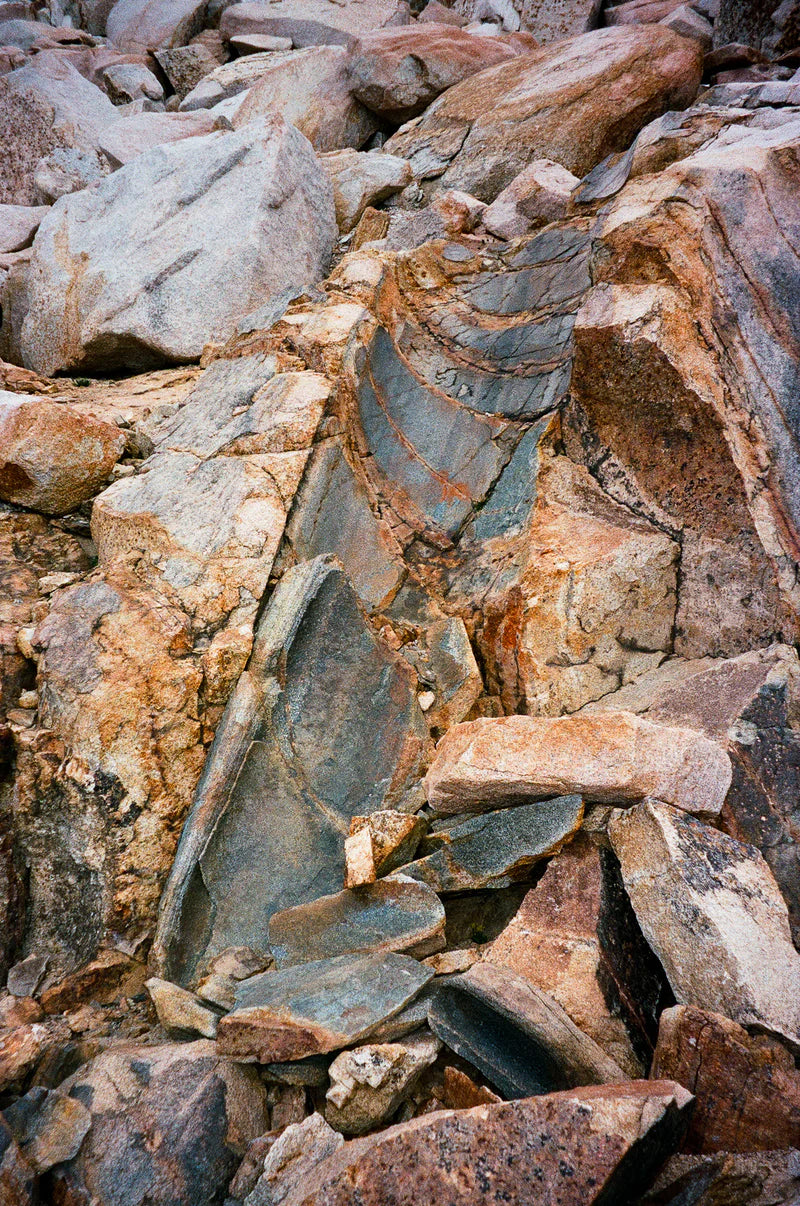 PA'LANTE v2 w joey straps / パランテ  V2 w ジョーイ ストラップ