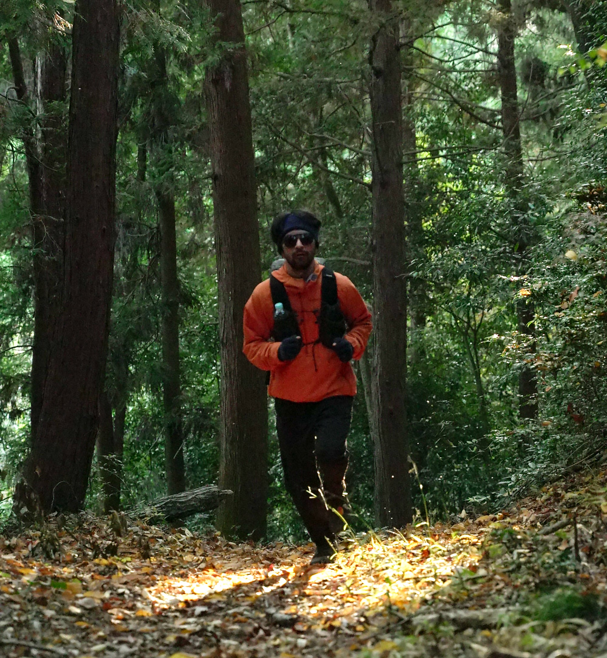 Norrona more Octa zip Hood (M) / ノローナ メンズモーレオクタジップフード