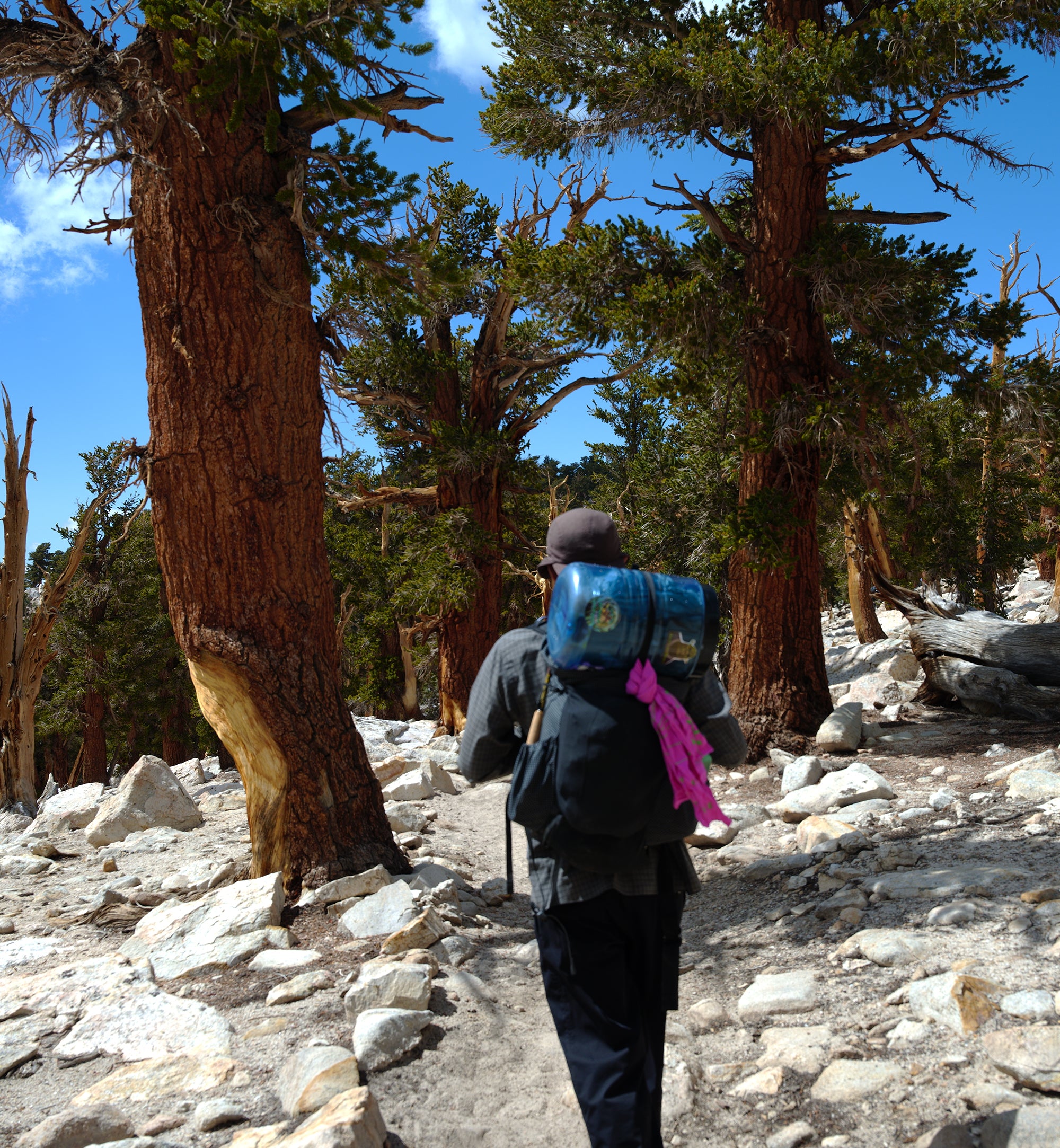 PA'LANTE v2 w joey straps / パランテ  V2 w ジョーイ ストラップ