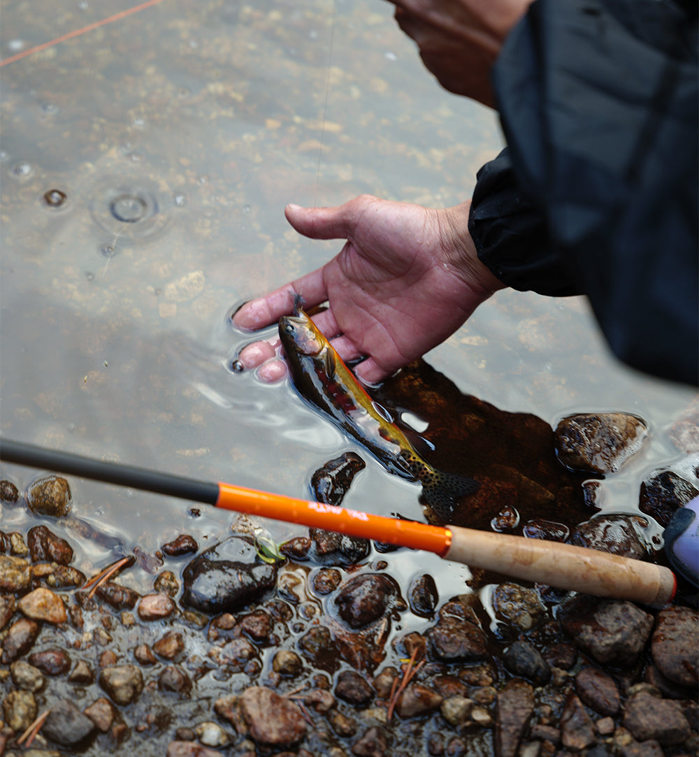 PA'LANTE tenkara rod  /  パランテ テンカラロッド