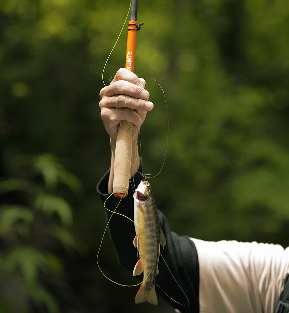 PA'LANTE tenkara rod  /  パランテ テンカラロッド