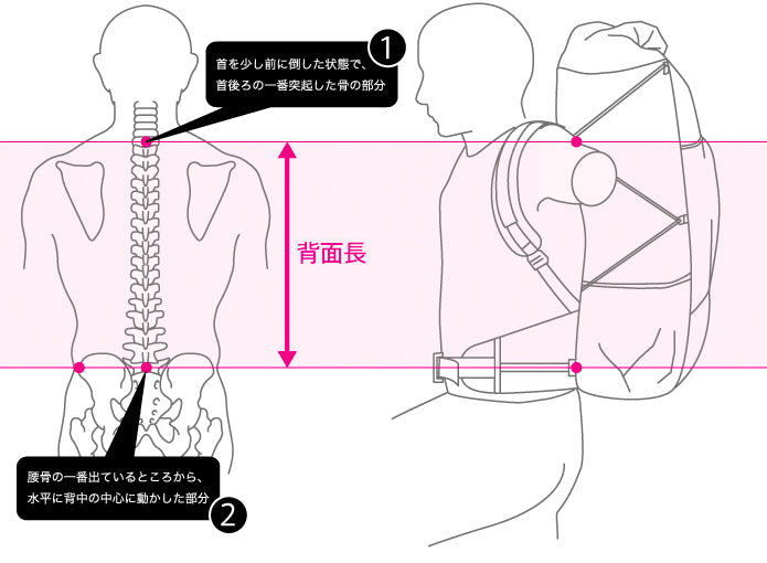 バック パック 背面 長